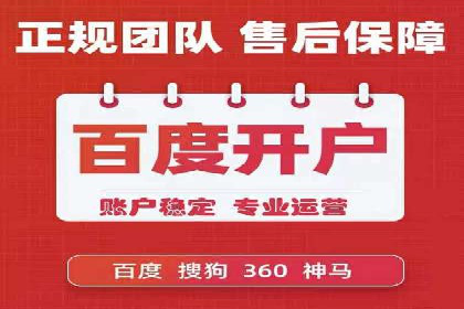 专业竞价SEM托管成功案例解析